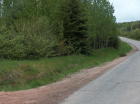 Photo showing 7 acre parcel frontage along Ross Ferry - Kempt Head Road